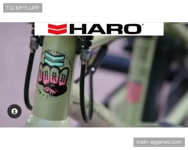 法国警方破获跨国假冒BMX高端车架制售网络